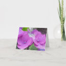 Search for galleries cards For her
