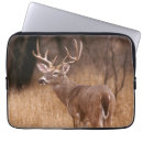 Search for rack electronics Wildlife