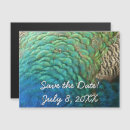Search for peacock colours invitations Abstract