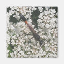 Search for wasps magnets Hornet