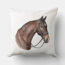 Search for bridled Pony