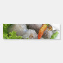 Search for chilly bumper stickers Spicy