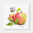 Search for red apple magnets Drawing