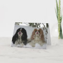 Search for cavaliers cards Puppies