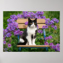 Search for tuxedo cat posters Flowers