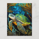 Search for sea turtle art postcards Ocean