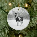 Search for paint horse christmas tree decorations Snow