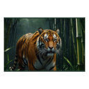 Search for predatory posters Big cats