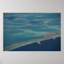 Search for diving platform Turquoise