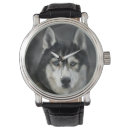 Search for husky watches Pet