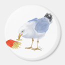 Search for seagulls magnets Coastal