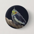Search for cockatiel badges Pet