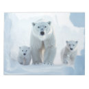 Search for polar bear gifts Travel