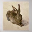 Search for albrecht posters 1502
