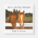 Search for hitch photography Horses