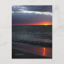 Search for glow postcards Ocean