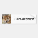 Search for animal photos bumper stickers Wild