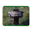 Search for sequoia national park magnets Souvenir