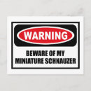 Search for miniature schnauzer postcards Funny