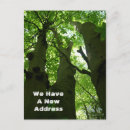 Search for canopy invitations Greenery