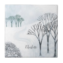 Search for snow tiles Landscape