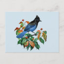 Search for stellar postcards Bird