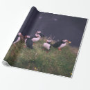 Search for puffin wrapping paper Wildlife