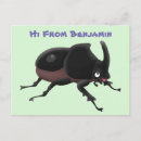 Search for beetle illustration postcards Beetles