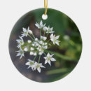 Search for blossoms christmas tree decorations Botanical