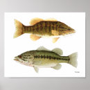 Search for largemouth posters Freshwater
