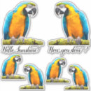 Search for big bird stickers Birthday