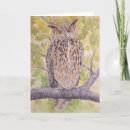Search for eagle owl cards Wildlife