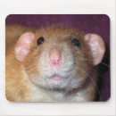 Search for pet rats mousepads Fancy