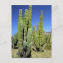 Search for miller postcards Blue