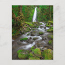 Search for creek fall postcards Moss