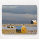 Search for barn in winter mousepads Agriculture