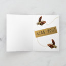 Search for flies cards Time