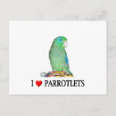 Search for parrotlet Bird