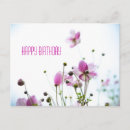 Search for anemones cards Autumn
