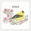 Search for wild birds stickers Watercolor