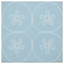 Search for sand dollar White