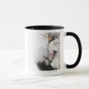 Search for business cat mugs Cute