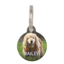 Search for distressed pet supplies For pets
