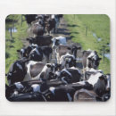 Search for farm photo electronics Nature
