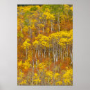 Search for quaking posters Aspen