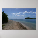 Search for sailboat posters Nature
