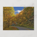 Search for curving postcards Scenic