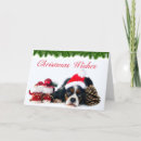 Search for cavalier king charles spaniel christmas cards Animal