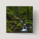 Search for rainforest badges Nobody