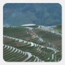 Search for terrace stickers Landscape